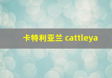 卡特利亚兰 cattleya